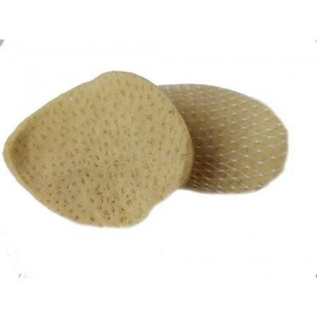 Morská huba - Slonie ucho 11 - 12cm (140)