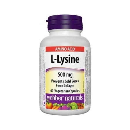 L-Lysine 500 mg 60ks