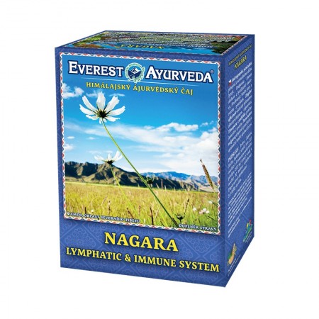 Čaj Ajurvédsky NAGARA 100g