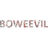 BoWeevil